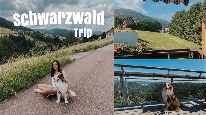 urlaub mit hund schwarzwald