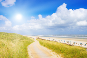 super last minute restplätze