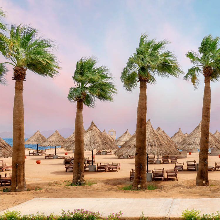 günstige all inclusive reisen