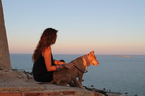 last minute urlaub mit hund